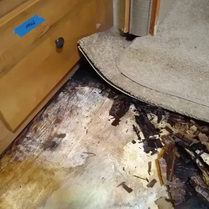 Wood Floor Water Damage in Davison, MI